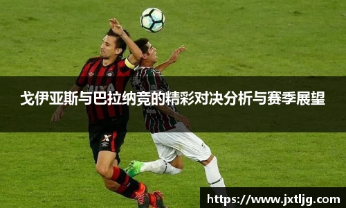 球速体育平台